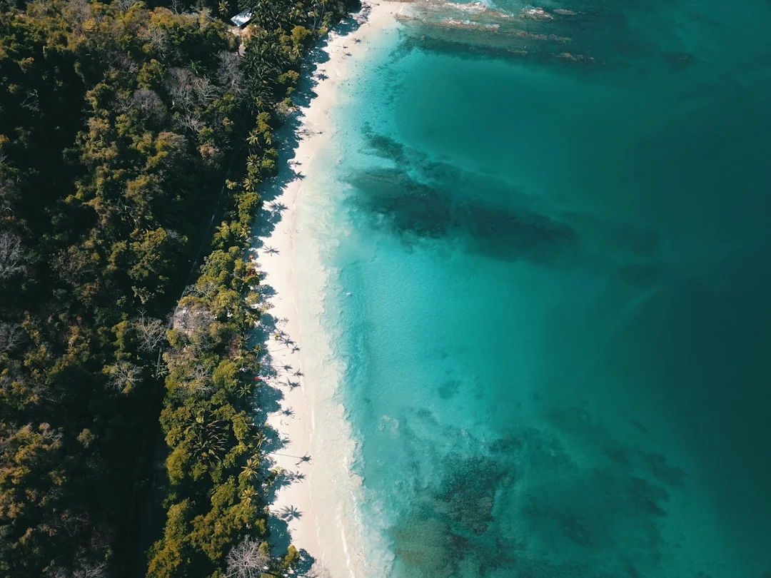 Welcome to Rio – Peaks & Iconic Views